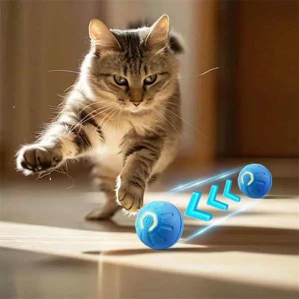 USB-Automatic-Dog-Accessories-Mobile-Bounce-Moving-Ball-For-Dogs-Electronic-Interactive-Pet-Toys-Pool-Cats.jpg
