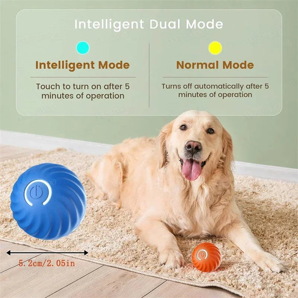 Fun Bounce Pet Play Ball